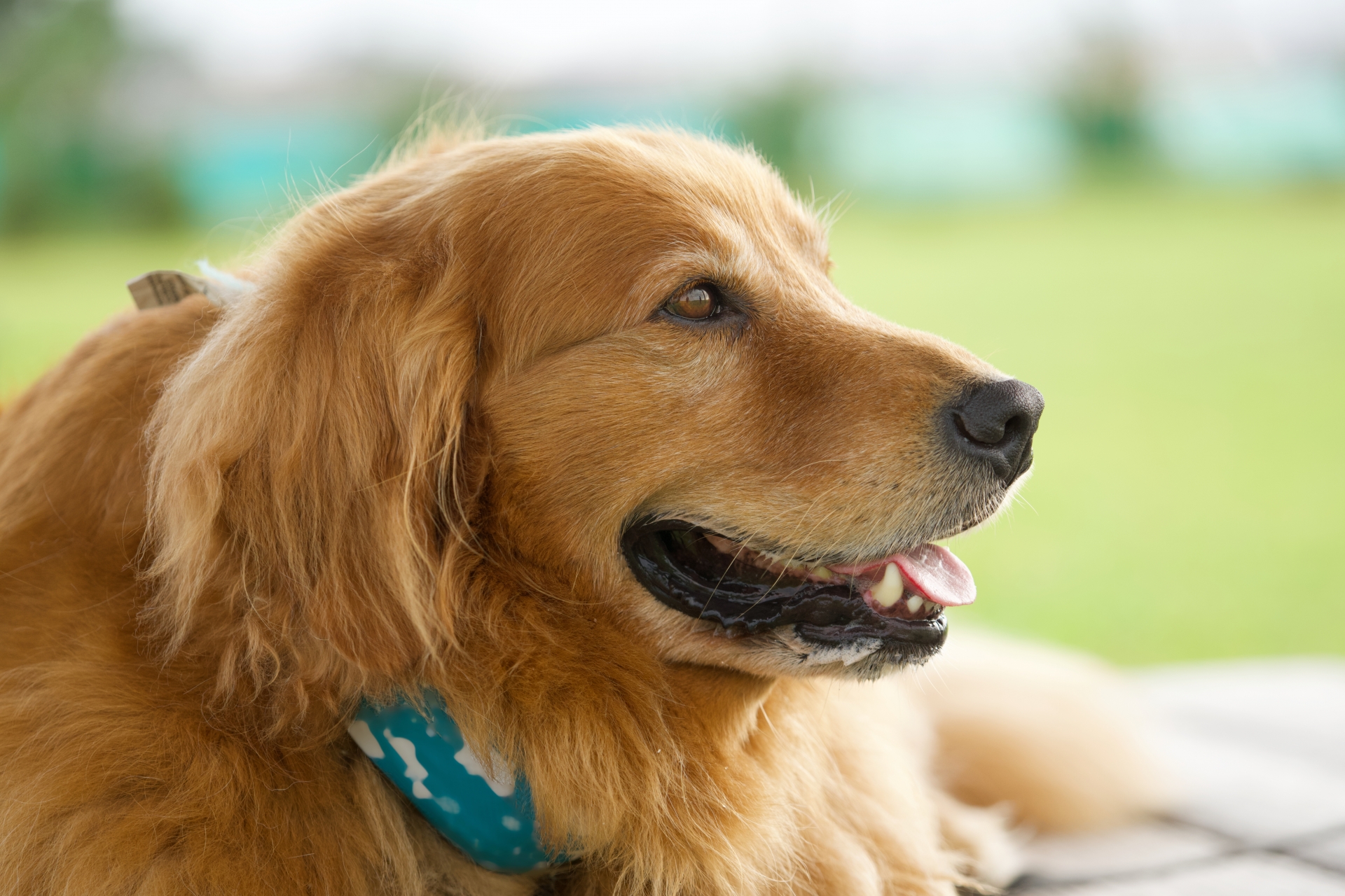 ホームページ、作っただけで
満足していませんか？